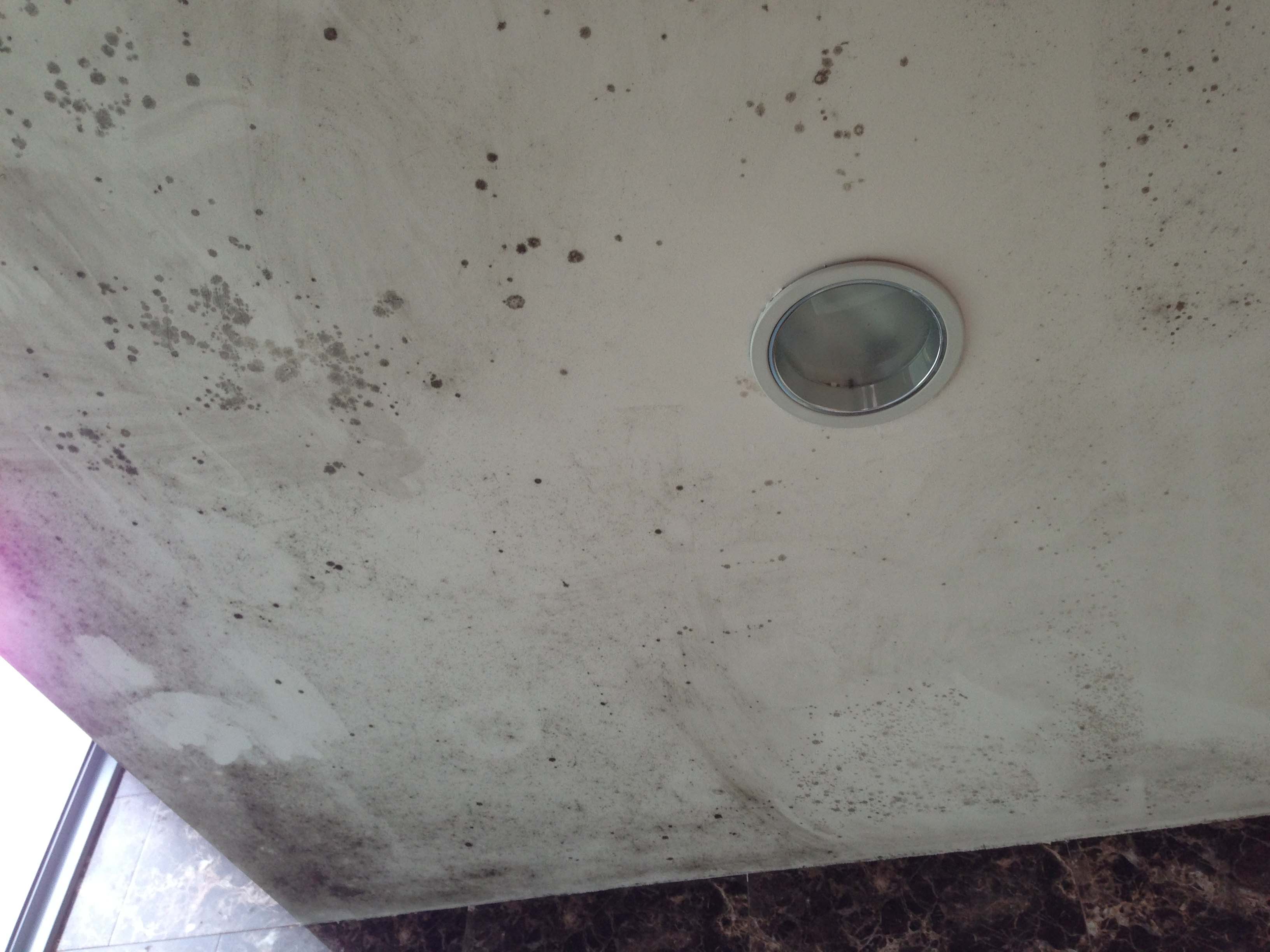 34. external glass panel leak.  wet ceiling encourages fungi growth..jpg